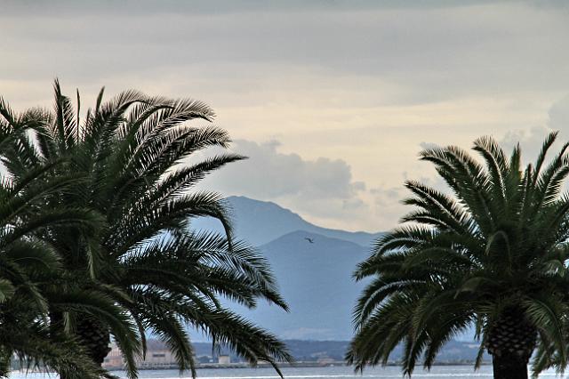 0039 Ajaccio.JPG
